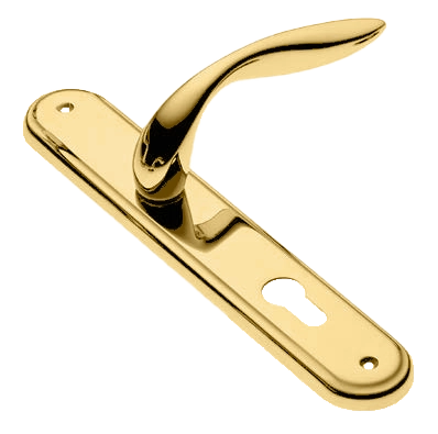 Ручка дверная на планке LEON PL OTL, цвет золото, латунь фото купить в Владивостоке