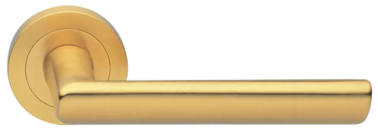 STELLA R2 OSA, ручка дверная, цвет - матовое золото фото купить Владивосток